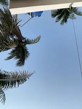 Ishikarana online show from 04.14.26