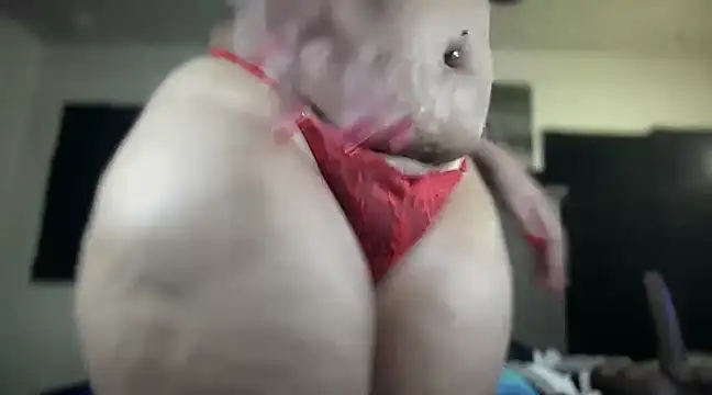 cocaNutt online show from 12.12.24