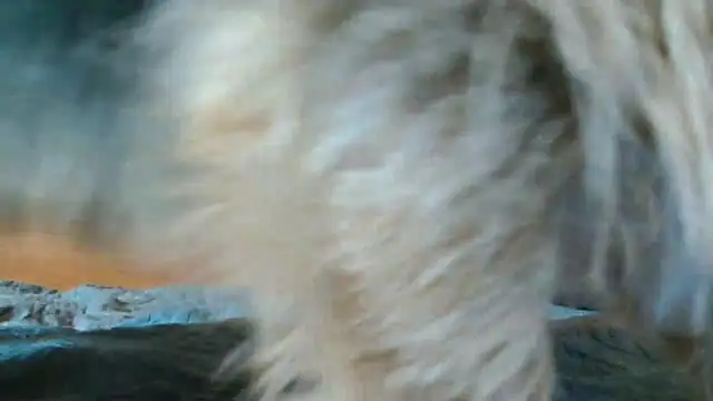 Snapshot of Andra_Love chatting on 05.24.26 Andra Love online show from 05.24.26