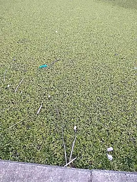 Eduardoxxx51 online show from 12.03.25