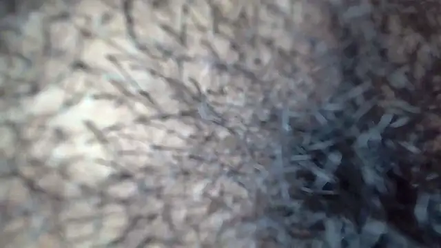 white sexy  online show from 11.29.25