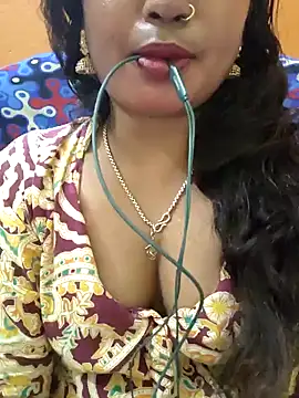 Snapshot of jasss-11 chatting on 01.08.25 jasss-11 online show from 01.08.25