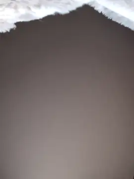 No-ties-fk online show from 02.08.26