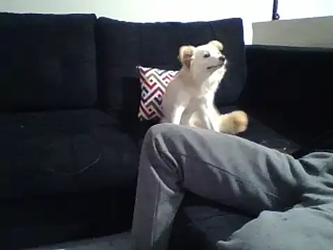 Snapshot of KikiLovesD chatting on 12.31.24 KikiLovesD online show from 12.31.24