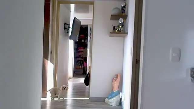 Snapshot of adan_eva960 chatting on 09.09.25 adan eva960 online show from 09.09.25