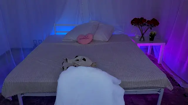 Hayle Hill online show from 11.08.25