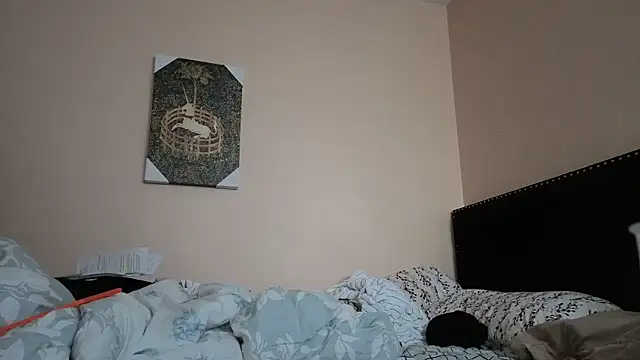 hailzeffn online show from 11.02.25