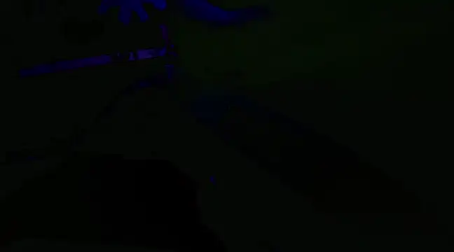 watermellonpussy online show from 01.29.25