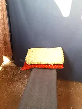 Snapshot of Burhade-- chatting on 10.12.25 Burhade-- online show from 10.12.25