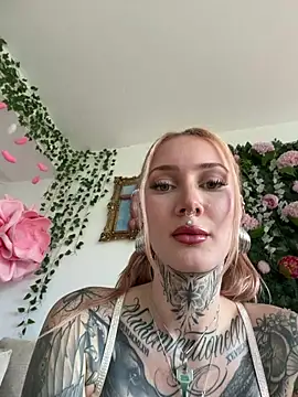 Stella-Kink online show from 02.28.26