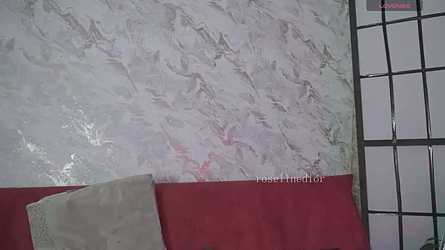 roselinedior online show from 03.17.26