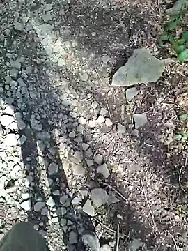 FreezingTie850 online show from 04.06.26