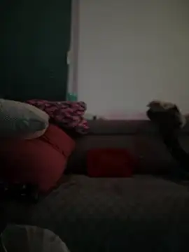 Snapshot of BigBoy420x chatting on 02.28.25 BigBoy420x online show from 02.28.25