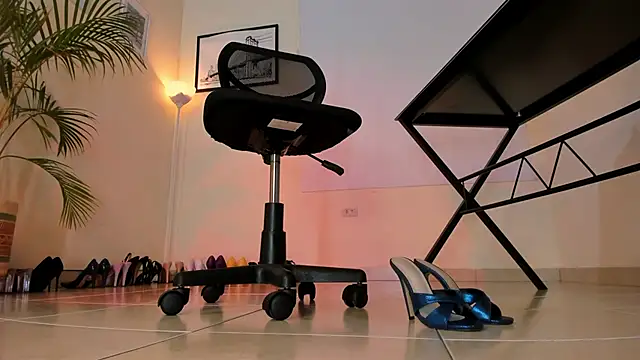 Snapshot of Kimmroggerr chatting on 01.25.25 Kimmroggerr online show from 01.25.25