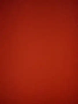 Snapshot of Aaradhya chatting on 01.20.25 Aaradhya online show from 01.20.25