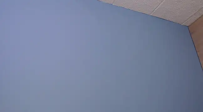 Snapshot of Lilly_macflyy chatting on 12.18.24 Lilly macflyy online show from 12.18.24