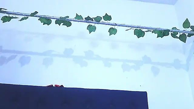 AliciaBasch online show from 01.09.25