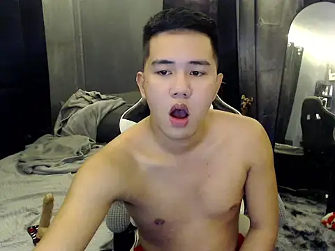 Snapshot of xgregor07 chatting on 11.11.25 xgregor07 online show from 11.11.25