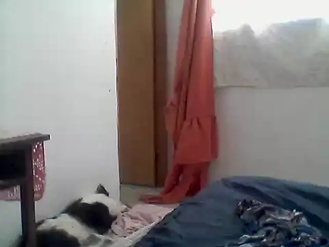 mariy  online show from 12.01.25