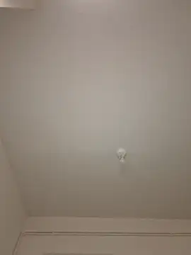 wedge75 online show from 04.20.26