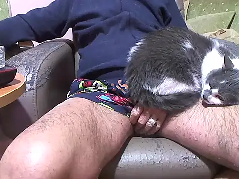 zormen355 online show from 04.08.26