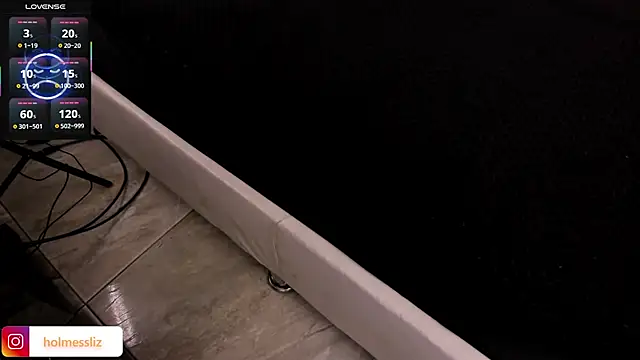 LIZ HOLMES online show from 03.04.25