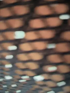 Rose-euphoria online show from 11.05.25