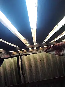 HotSexyBoudi online show from 10.16.25