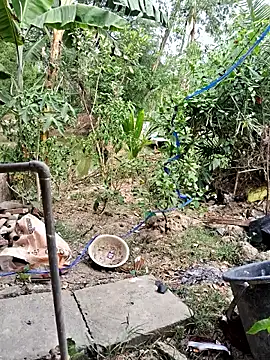 HotSexyBoudi online show from 04.18.26