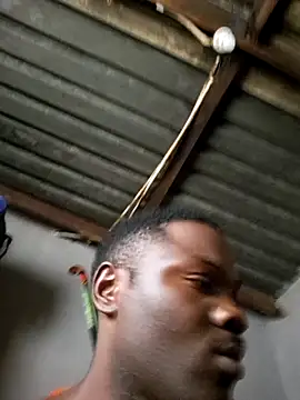 Petrossa online show from 03.23.26