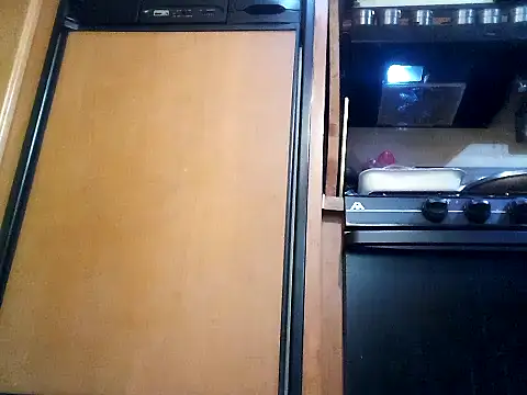 Snapshot of WilldoPita chatting on 02.04.25 WilldoPita online show from 02.04.25