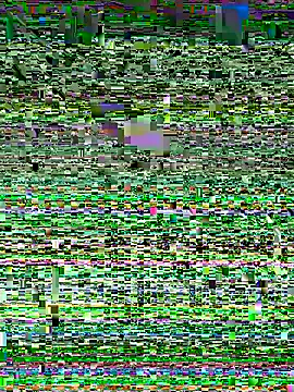 Snehameowwxh online show from 11.21.25