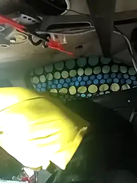 FloppyPickle4u online show from 03.06.26