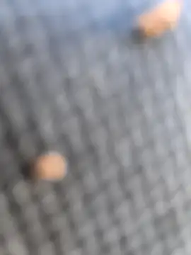 FloppyPickle4u online show from 03.07.26