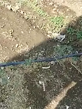 DADDY69SS online show from 02.08.26