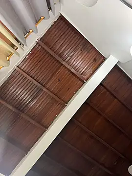 emiss  online show from 03.24.26