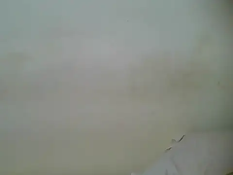 HotJeylee online show from 02.28.25