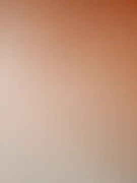 fumei888 online show from 10.01.25