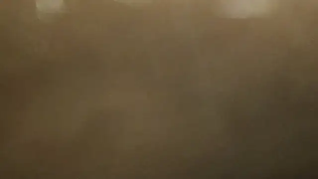 Snapshot of Alphapimmelchen chatting on 02.21.25 Alphapimmelchen online show from 02.21.25