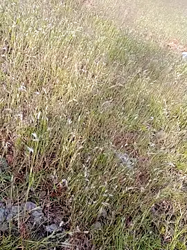 sexoooj online show from 10.22.25