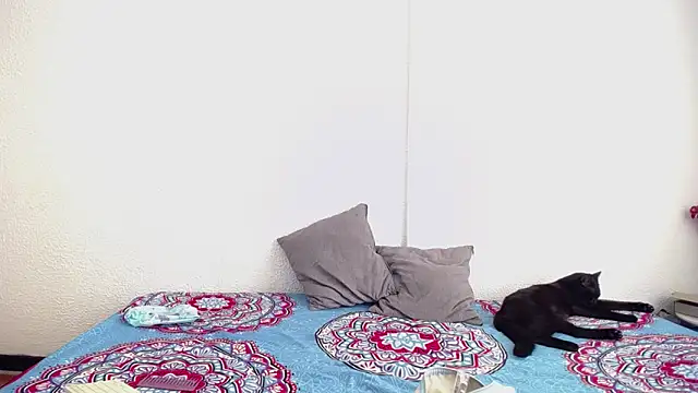  joanne and oliver  online show from 09.17.25