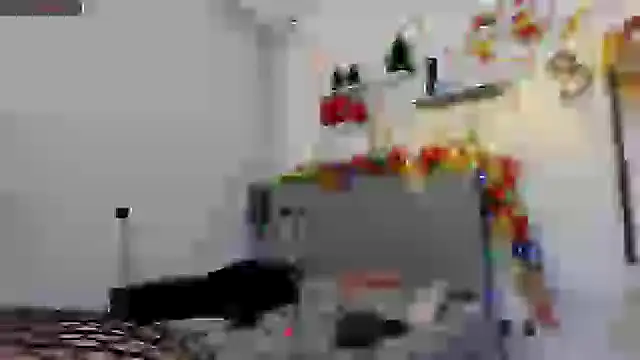 Snapshot of alissonandamy chatting on 12.21.24 alissonandamy online show from 12.21.24