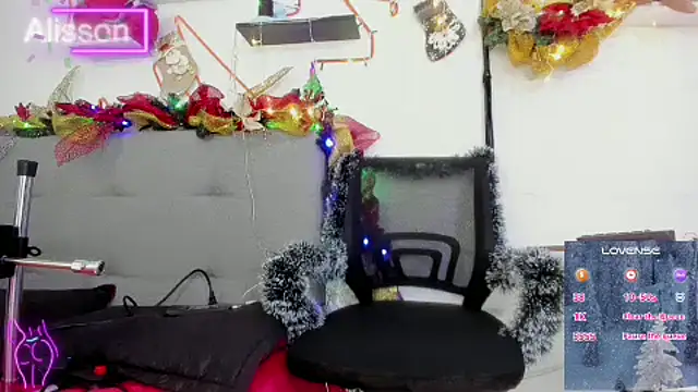Snapshot of alissonandamy chatting on 12.24.24 alissonandamy online show from 12.24.24