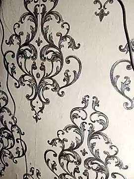 Snapshot of Mishika_Gill chatting on 01.22.25 Mishika Gill online show from 01.22.25