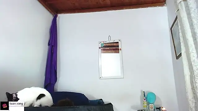 Trix fiore oficial online show from 01.14.26