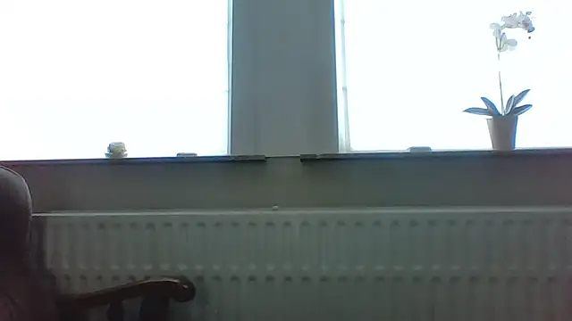 Snapshot of bertolini chatting on 05.13.26 bertolini online show from 05.13.26