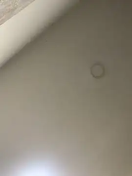 Snapshot of Zarah_Blare chatting on 01.14.25 Zarah Blare online show from 01.14.25