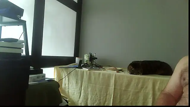 SexWorkerX online show from 11.15.25