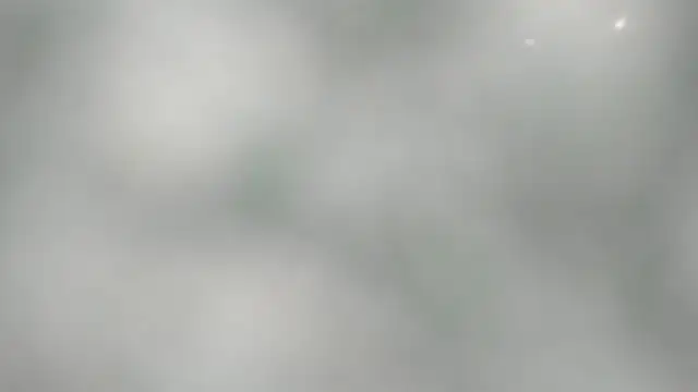 BarbaraTurners online show from 10.19.25