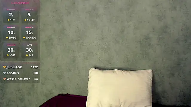 Snapshot of LizzieLight chatting on 12.02.24 LizzieLight online show from 12.02.24